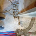 IMG_20230414_120440_299